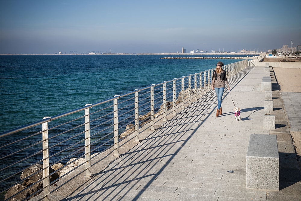 walking with a dog in a seafront view