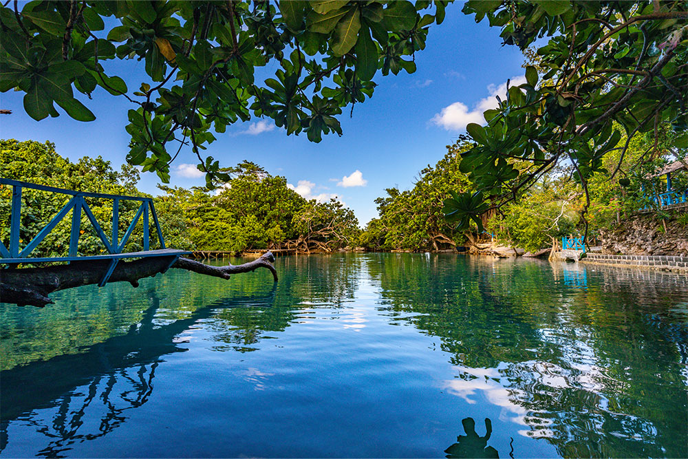 Kayaking spot in a park