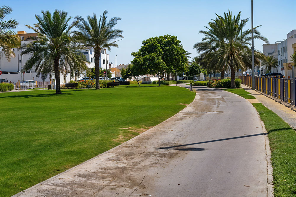 Greenery in Al Mushrif in Abu Dhabi