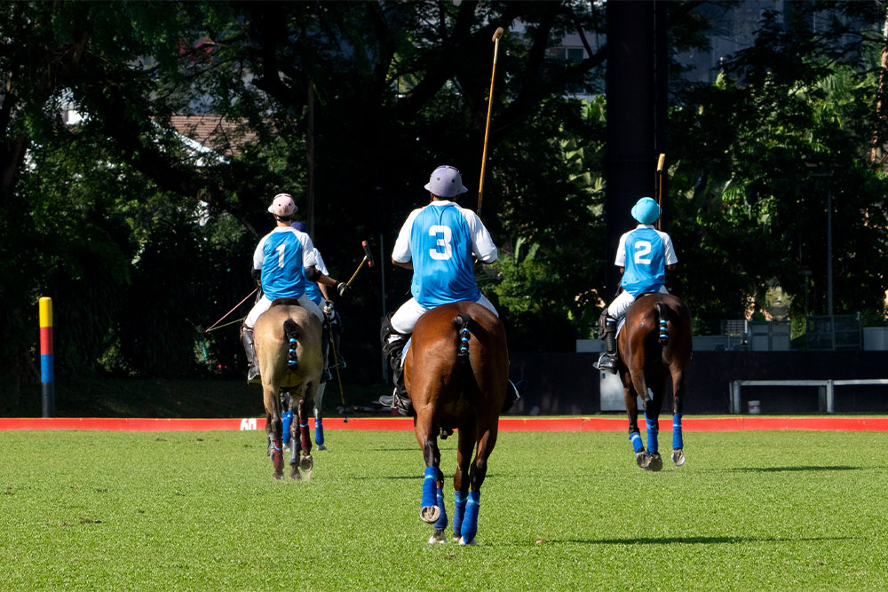 Polo match in Desert Palm Polo Club