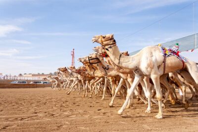 Al Marmoom Heritage Village