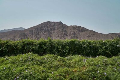 Wadi Al Helo