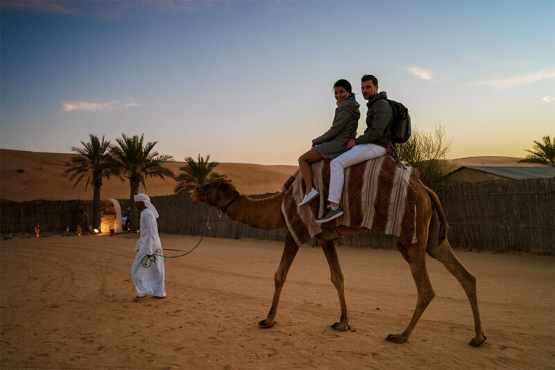 Camel ride Dubai