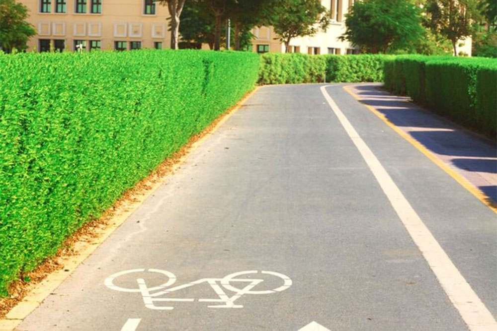 cycling track in Liwan