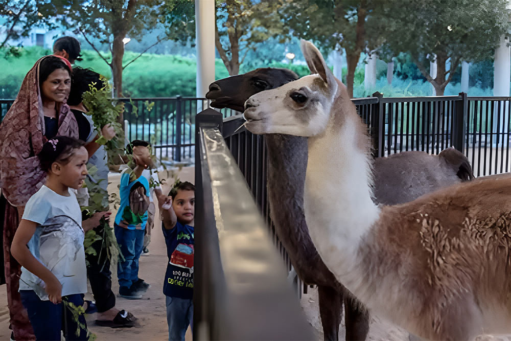 Parks near Al Muroor