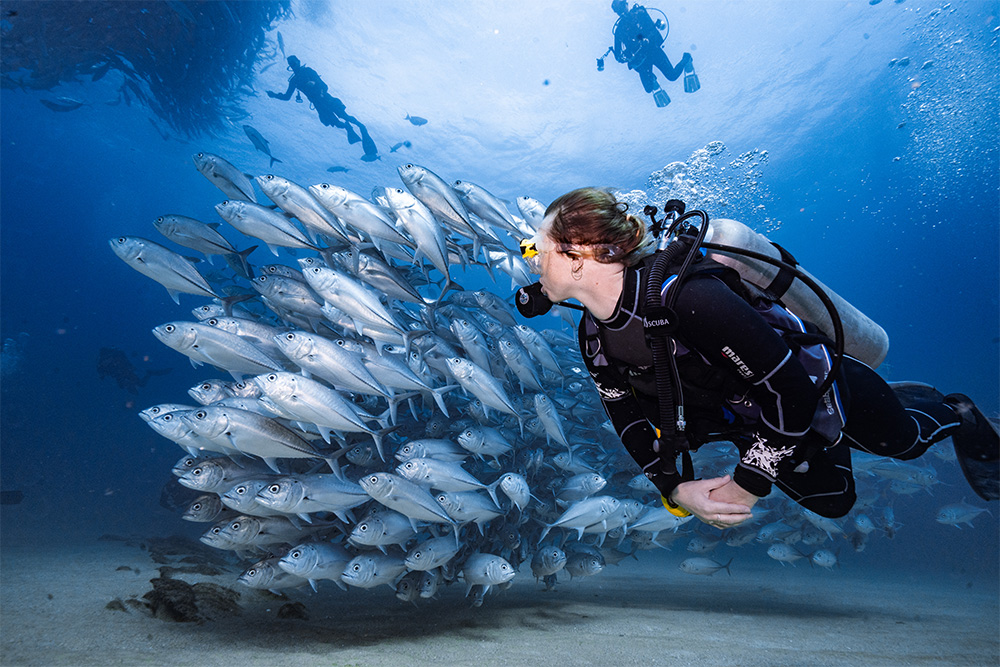 A person scuba diving amidst a school of fish.