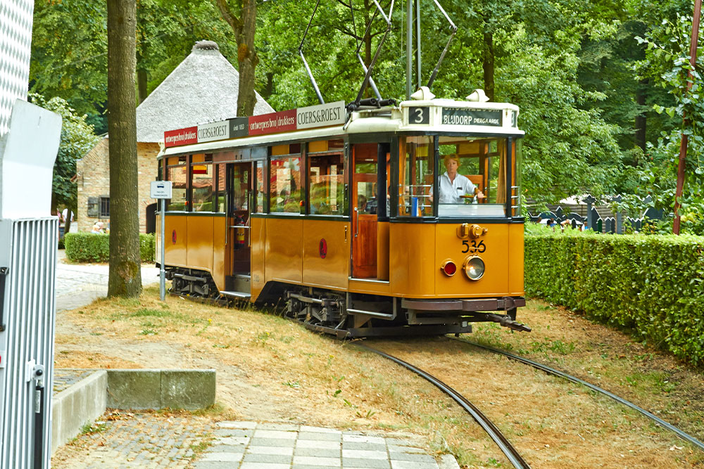 Sight Seeing Train in Al Mubazzarah Park