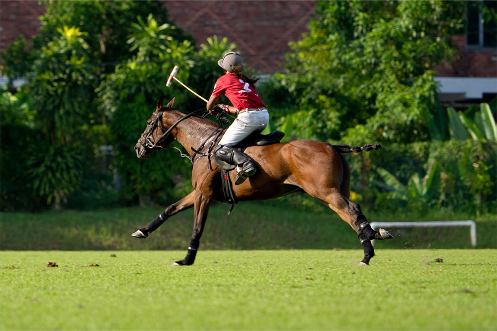 playing polo in Dubai