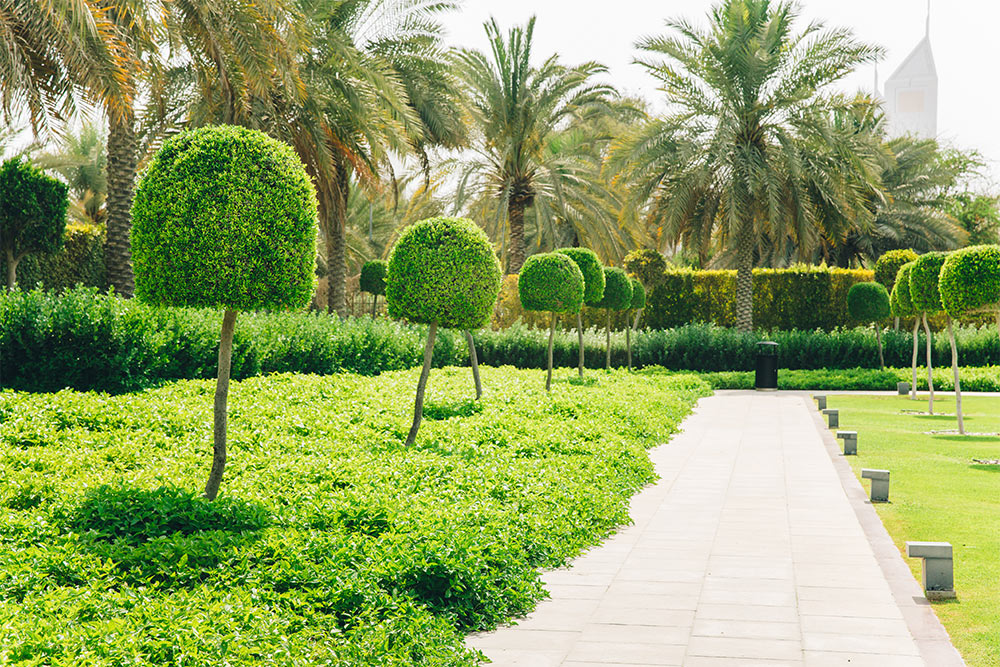  حديقة النادي السياحي في ابوظبي