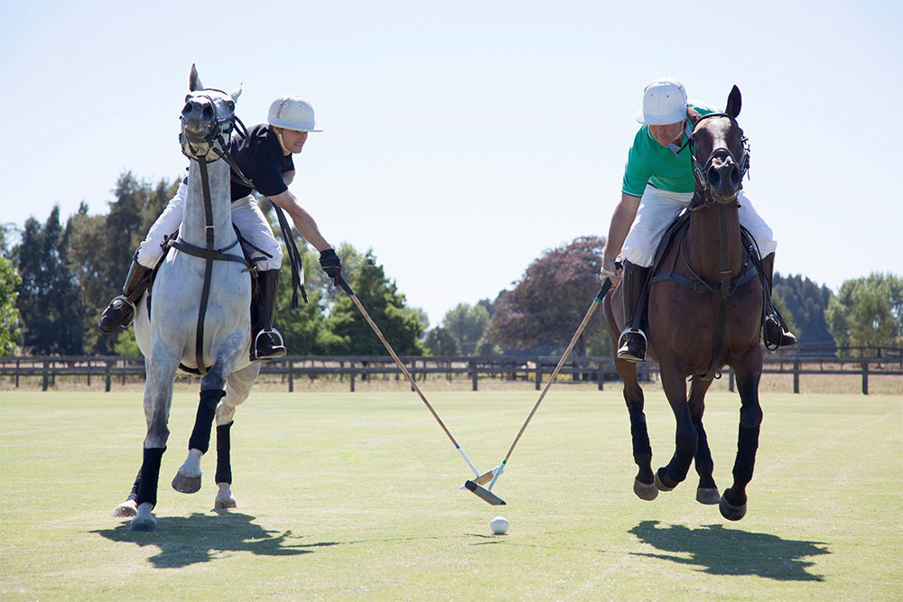 Polo Club Dubai