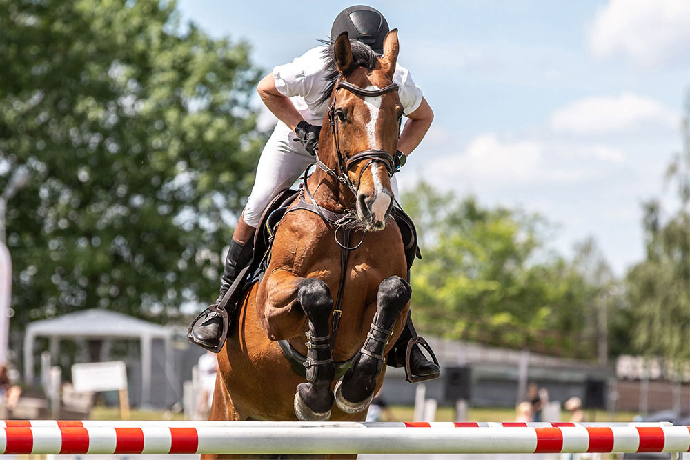 Equestrian sports in Abu Dhabi