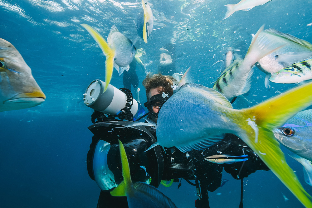 ras al khaimah scuba diving