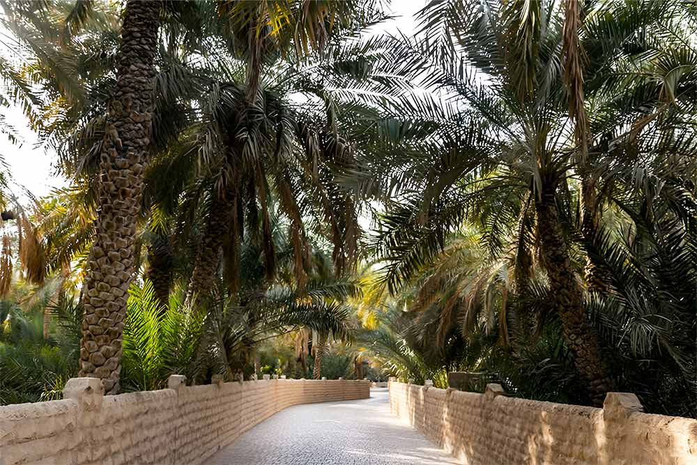 Al Ain Oasis