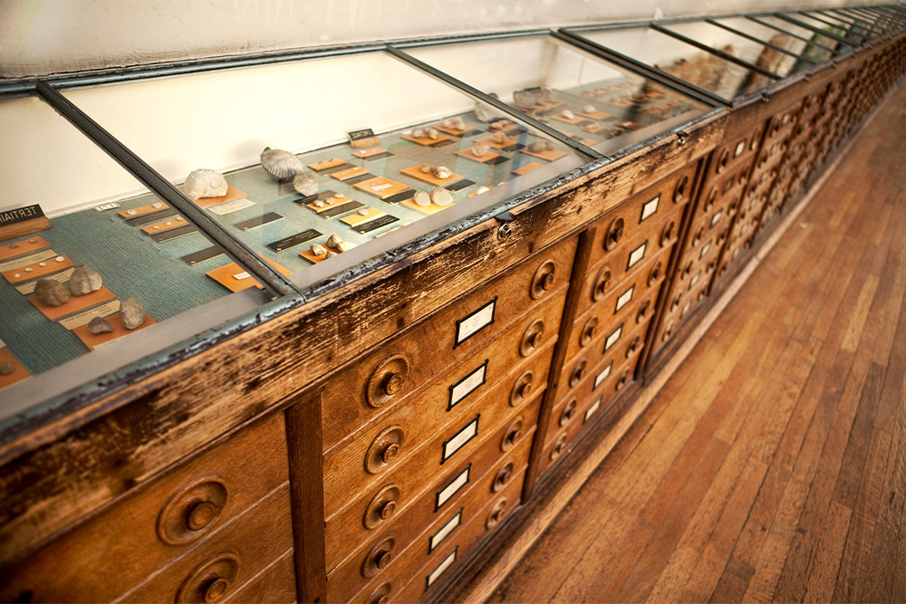 Exhibits in a museum