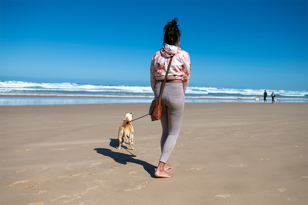 Pet-Friendly Beaches 