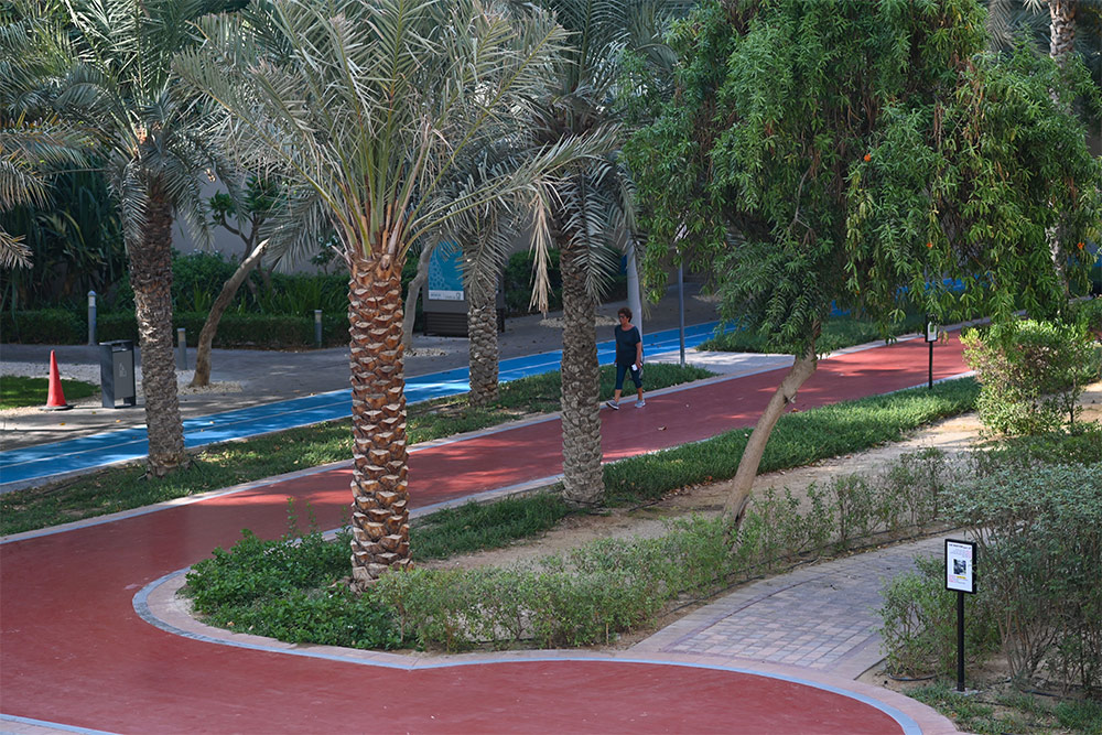 Park at Wadi Al Shabak