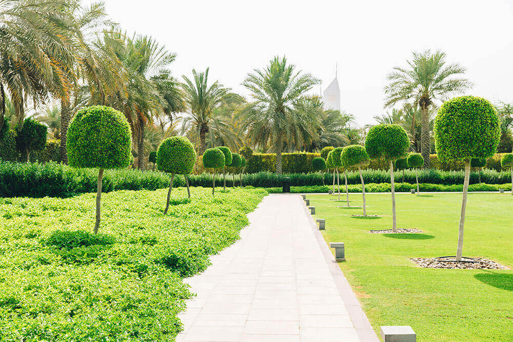 Park in Sas Al Nakhl Village