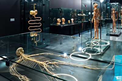 body museum abu dhabi