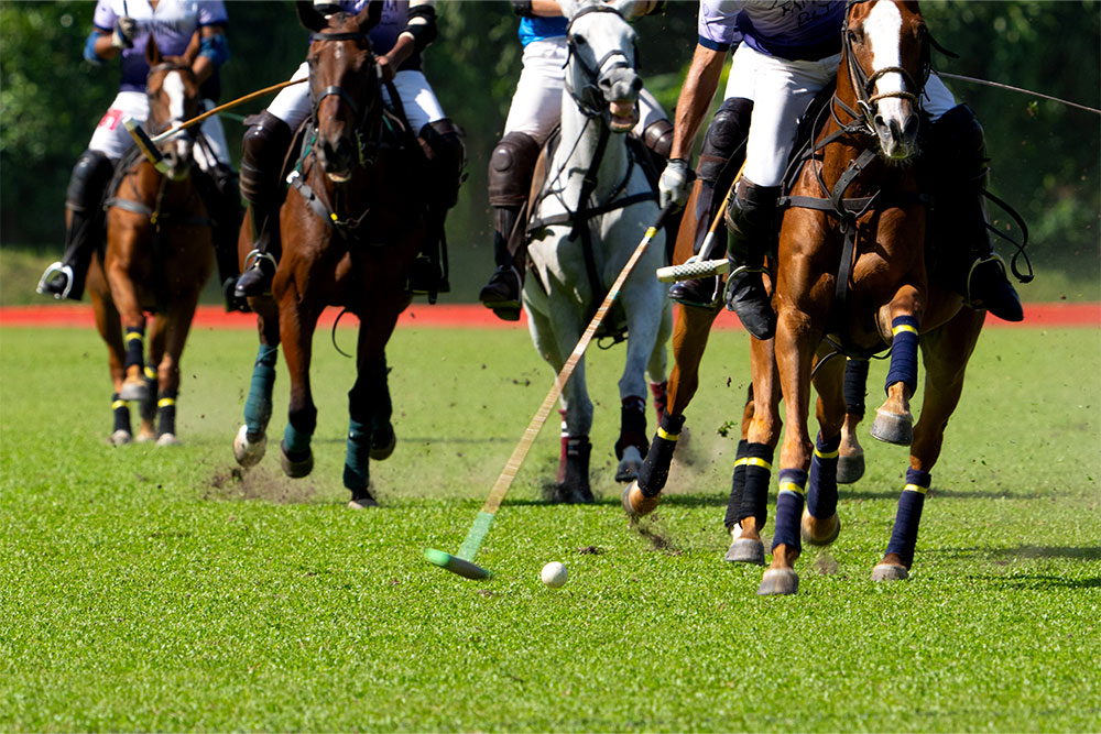 Dubai Polo Match