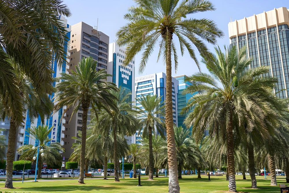 Al Khalidiya Area