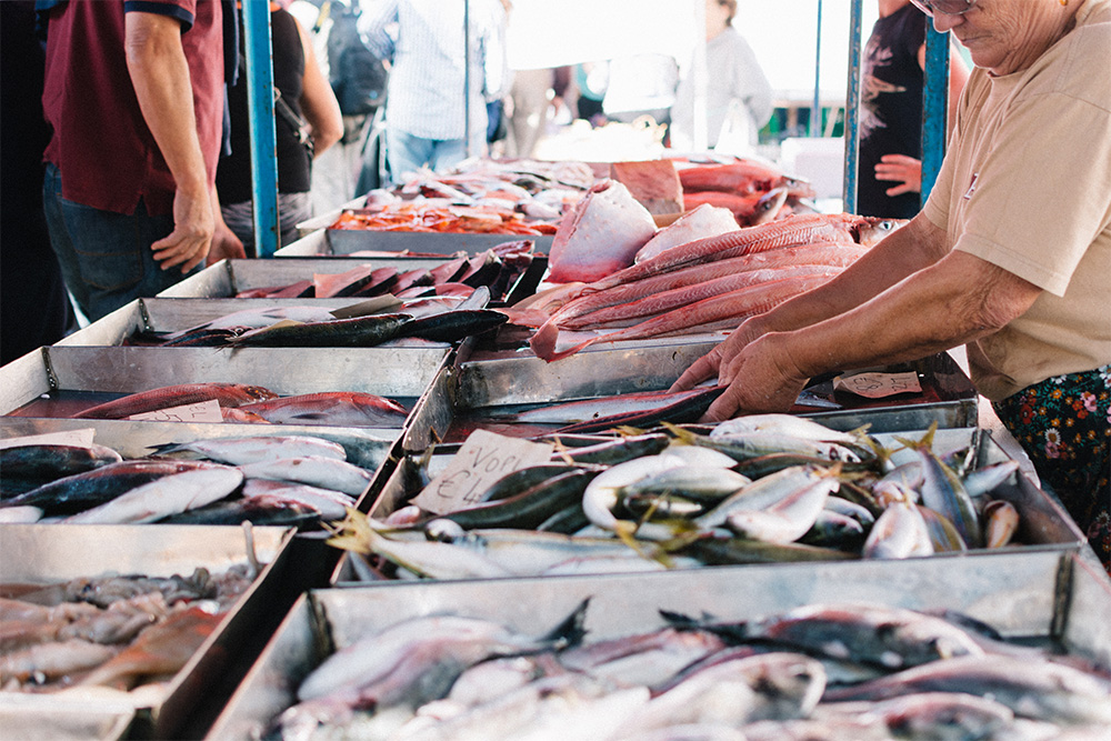 Sharjah Rolla Fish Market