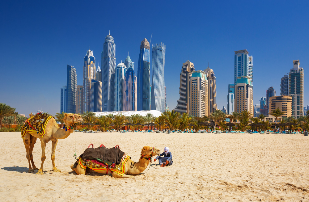 camel ride dubai