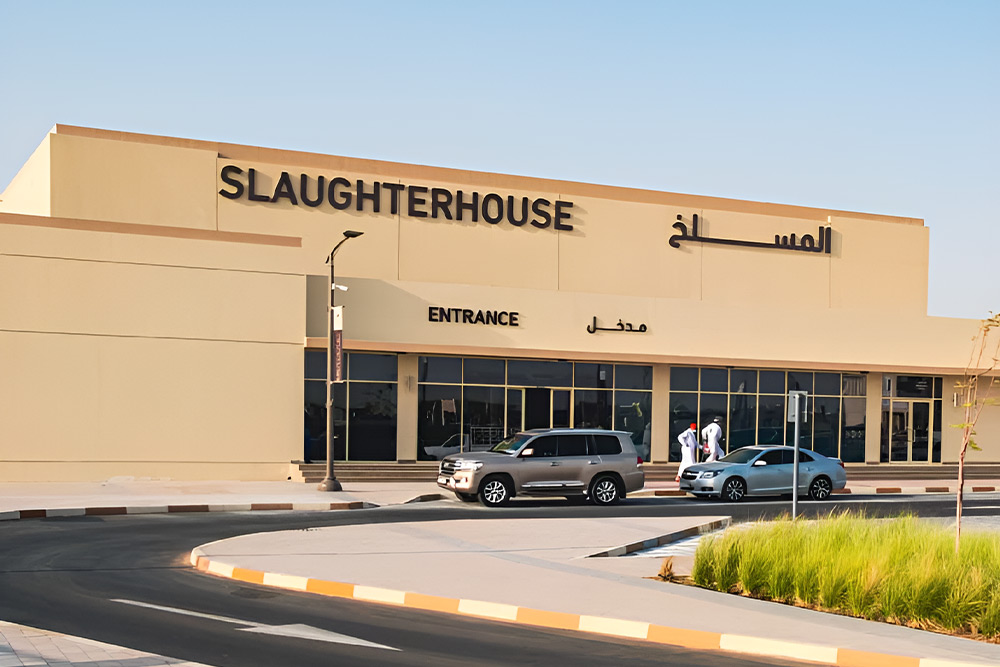 slaughterhouse at Sharjah Cattle Market