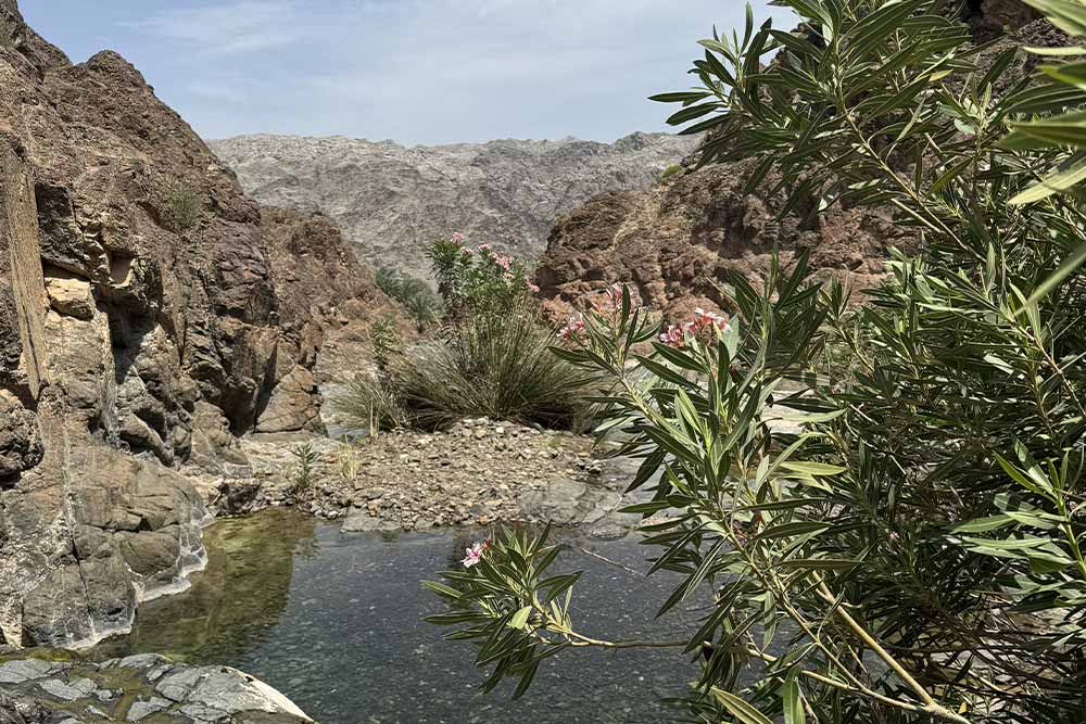 Hiking trail at Wadi Wurayah