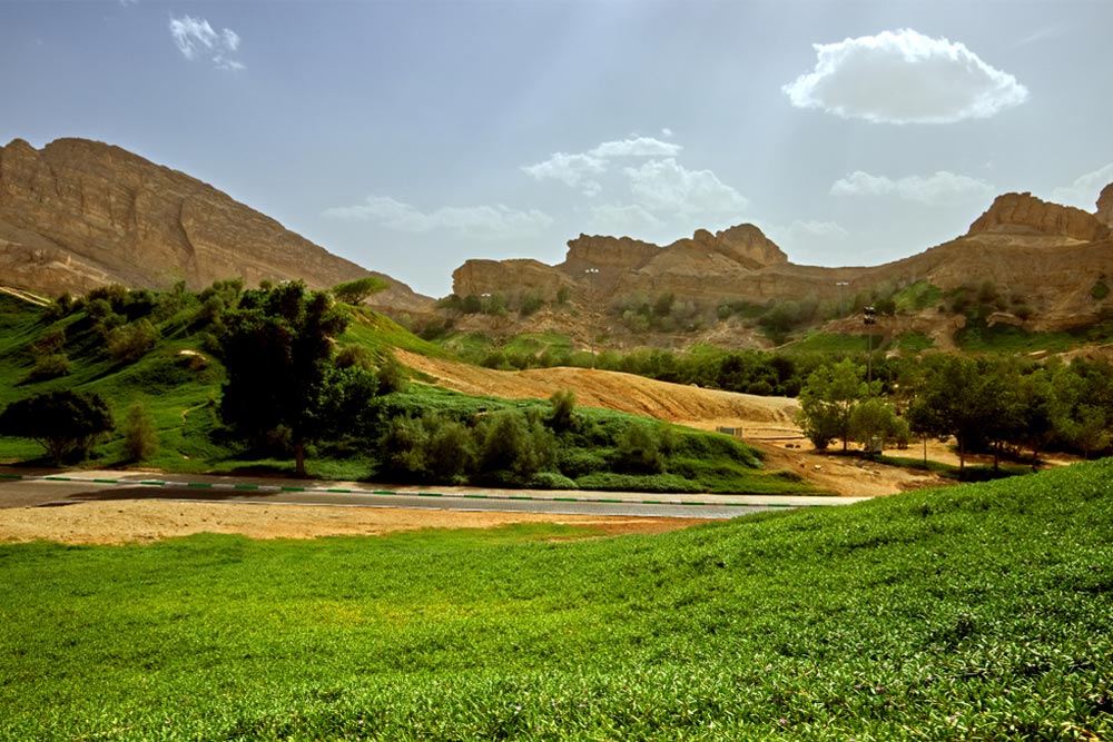 A family enjoying a picnic at Green Mubazzarah Park in Al Ain 