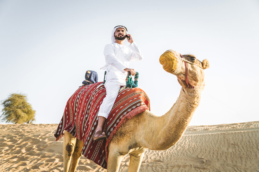 Riding Camel in Abu Dhabi