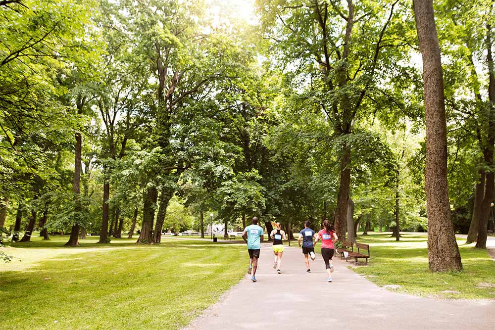 Jogging trails in Ajman Chamber Park 