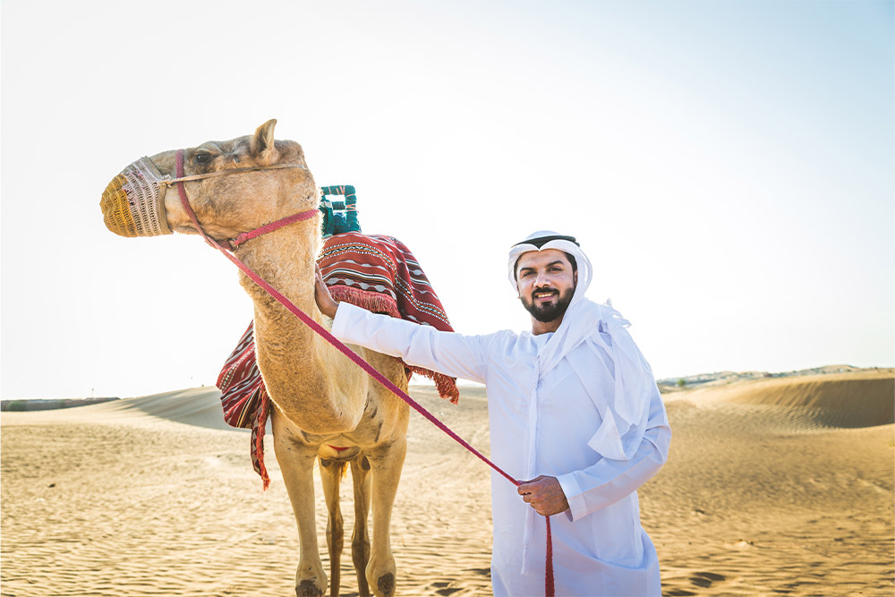 Camel Ride Abu Dhabi