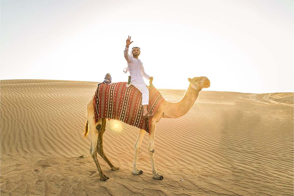 Camel in Desert Safari