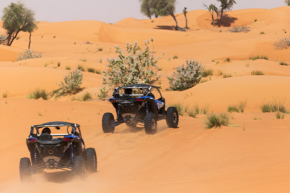 Dune Buggy Ride at Big Red Adventure Tours