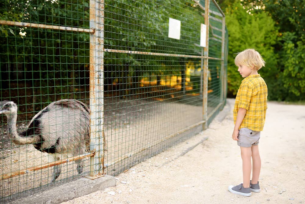 zoo in ajman