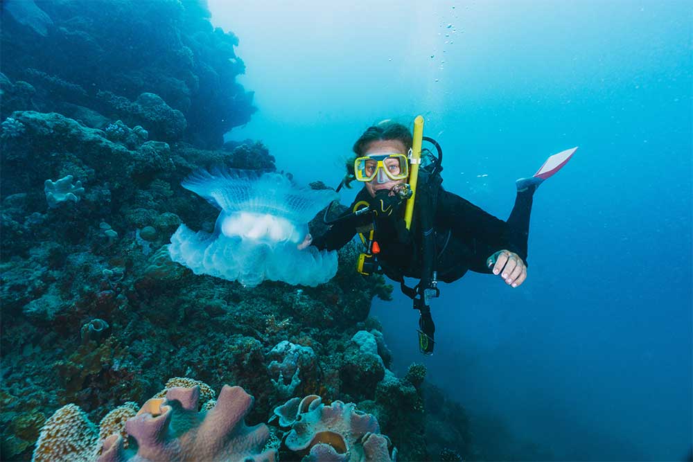 snorkelling at Moon Island Dubai