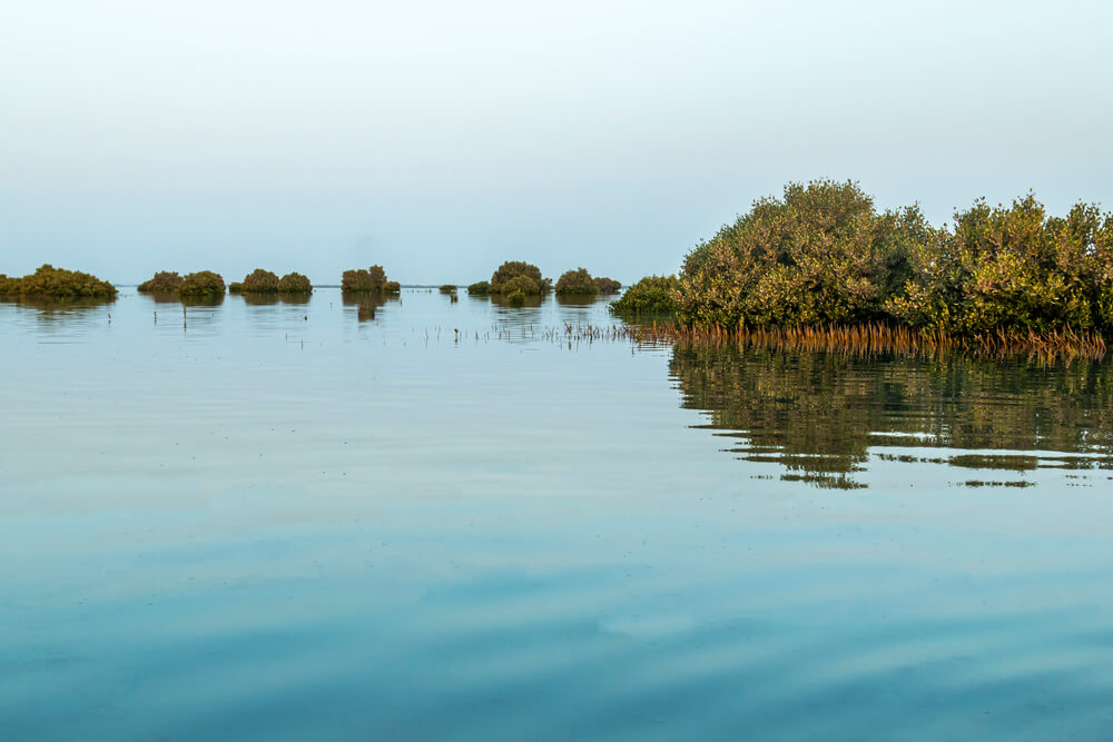 Umm Al Quwain beach