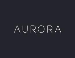 AURORA CAPITAL REAL ESTATE L.L.C