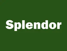 SPLENDOR REAL ESTATE BROKERAGE L.L.C