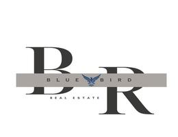 BLUE BIRD REAL ESTATE MANAGEMENT - SOLE PROPRIETORSHIP L.L.C.