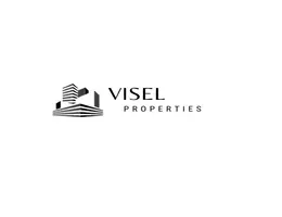 VISEL PROPERTIES L.L.C