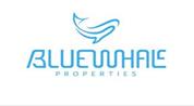 BLUEWHALE PROPERTIES logo image
