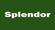 SPLENDOR REAL ESTATE BROKERAGE L.L.C logo image