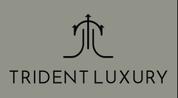 Trident Luxury Real Estate L.L.C logo image