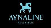 Aynaline Real Estate L.L.C logo image