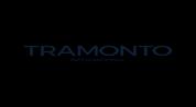 Tramonto International Real Estate logo image