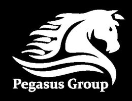 Pegasus Alliance Gulf Real Estate