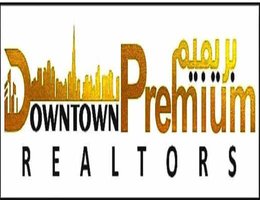 DOWNTOWN PREMIUM REALTORS L.L.C