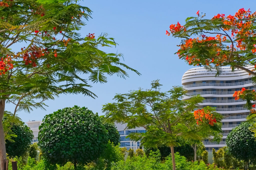 Lush greenery and blooming trees in an urban park setting, with a modern residential sustainable building visible in the background, showcasing eco-friendly architecture in Abu Dhabi, UAE.