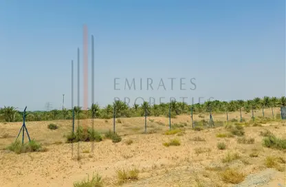 Land - Studio for sale in Al Helio 1 - Al Helio - Ajman